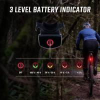 SIGMA SPORT Sigma Rücklicht Buster RL 80 USB LED schwarz