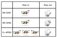 Shimano Schuhplattensatz SM-SH51 SPD Einfachausstieg mit Gegenplatte