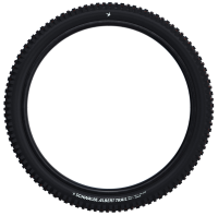 Schwalbe Pneu Albert 29x2.50 Trail Pro Addix UltraSoft TL-Ready black Radial