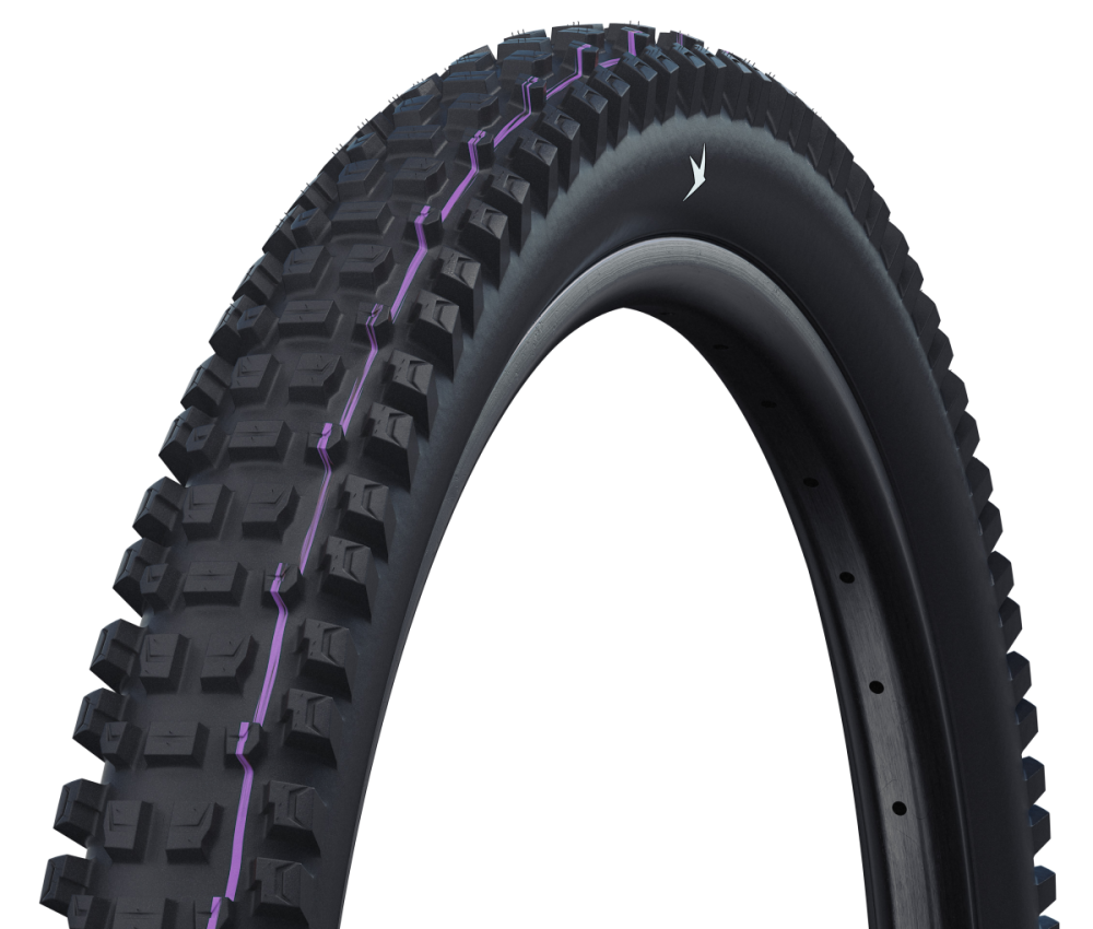 Schwalbe Pneu Albert 29x2.50 Gravity Pro Addix UltraSoft TL-Ready black Radial