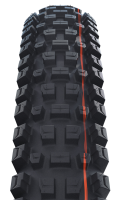 Schwalbe Pneu Albert 29x2.50 Gravity Pro Addix Soft TL-Ready black Radial